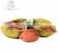 Jojoba oil - we provide all type of jojoba oil like crude, golden, clear, refined & unrefined