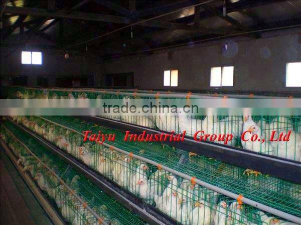 TAIYU-4 3 tier-A type egg laying chicken cage (Export standard battery cage system)