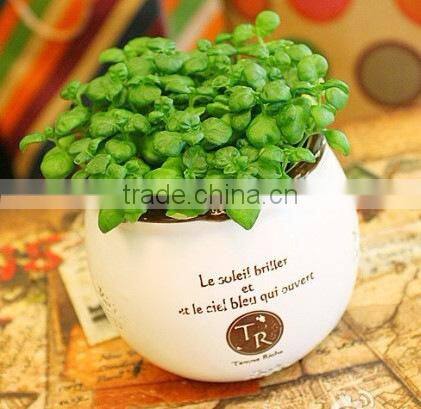 2016 animal shap porcelain flower pot fashion crafts