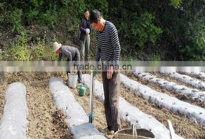 Farmland manual seed planter