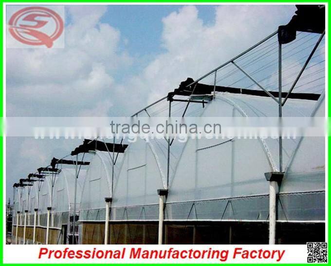 Hot sale 7.2m single/multi-span agricultural plastic green houses with good price