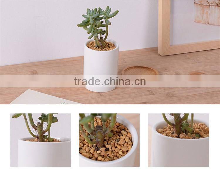 Indoor small white glazed ceramic teacup planter pot with bamboo tray
