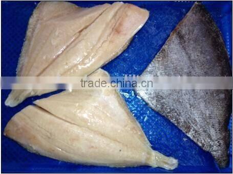 frozen brama fillet