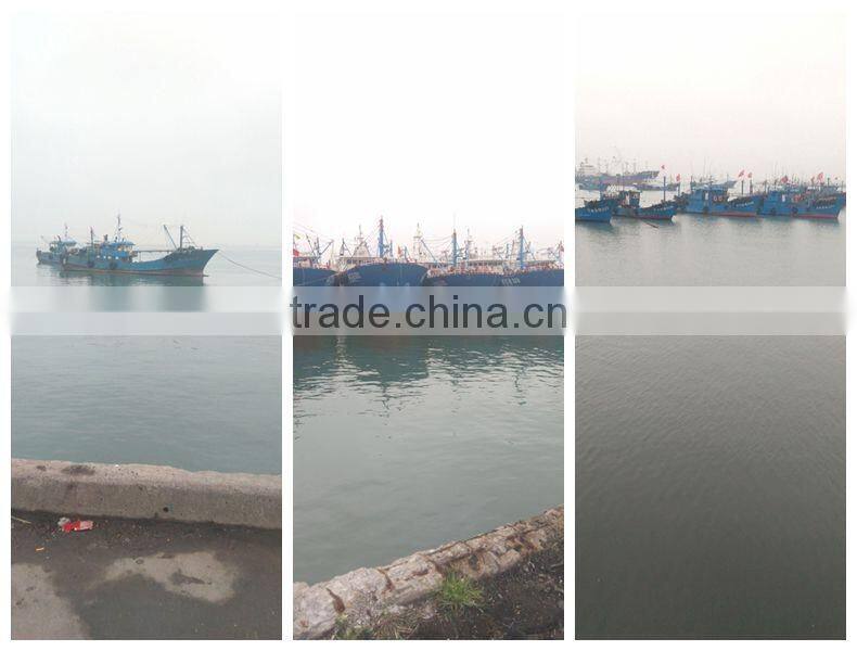 China Frozen Horse Mackerel Fish IQF Horse Mackerel