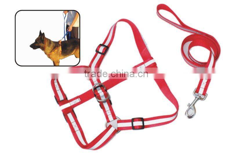 dog collar pet products
