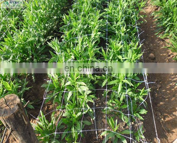 Climbing plant support trellis netting