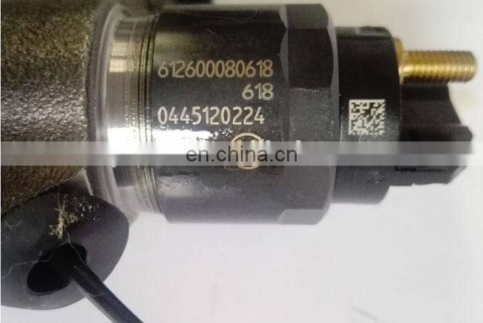 Weichai ENRANGER engine fuel injector 612600080618 / 0445120224