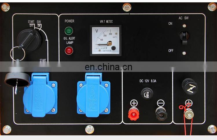 BISON(CHINA) China Supplier Diesel Power SIlent Leading LDE6800T Generator