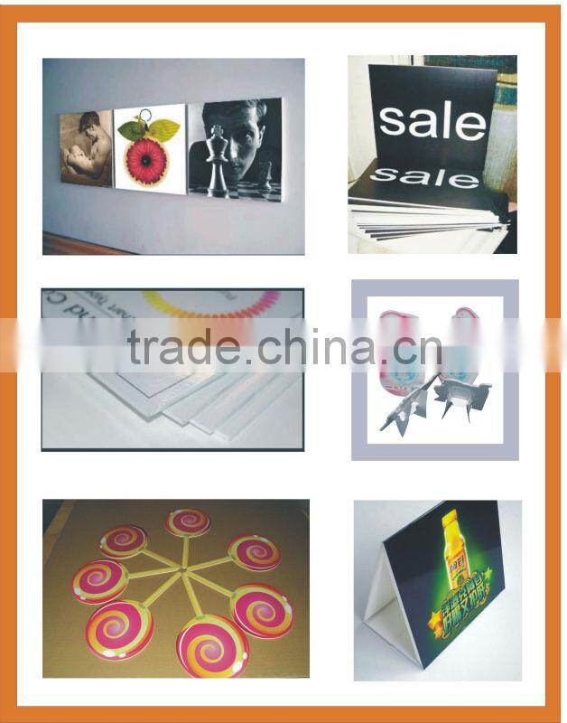 Cardboard standee display ,custom foam board standee D-0118