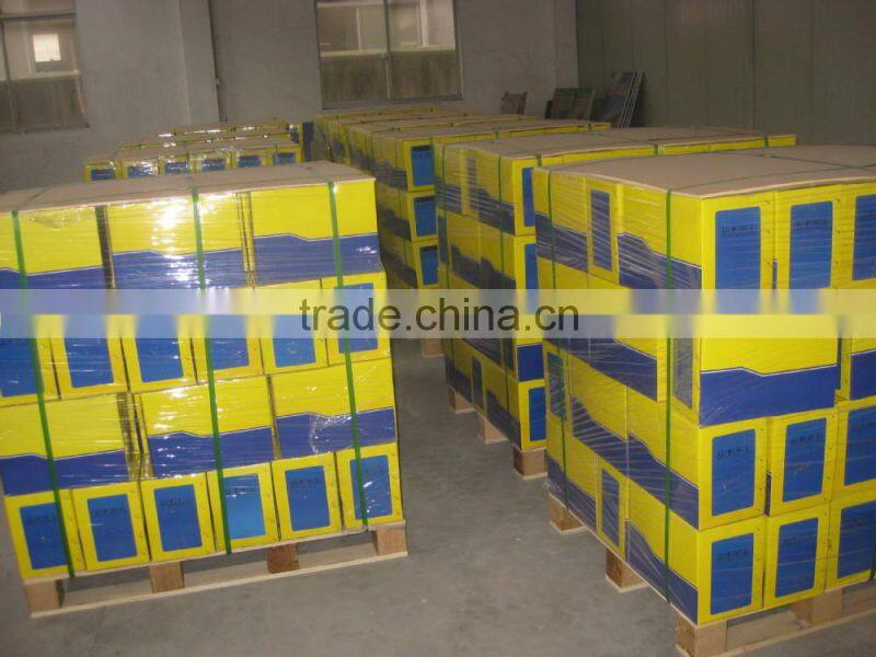 Solar Garden Light(double arm)