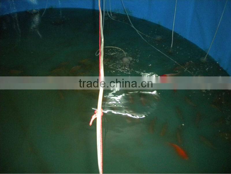 Folding Collapsible Polygon Fish Ponds for Aquaculture