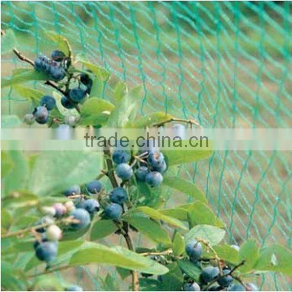 hot sale to european 100% hdpe anti bird nets