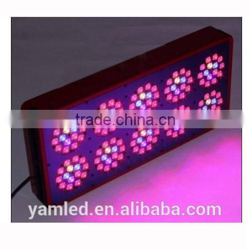 Chinese aquarium for freshwater plants growing aquarium