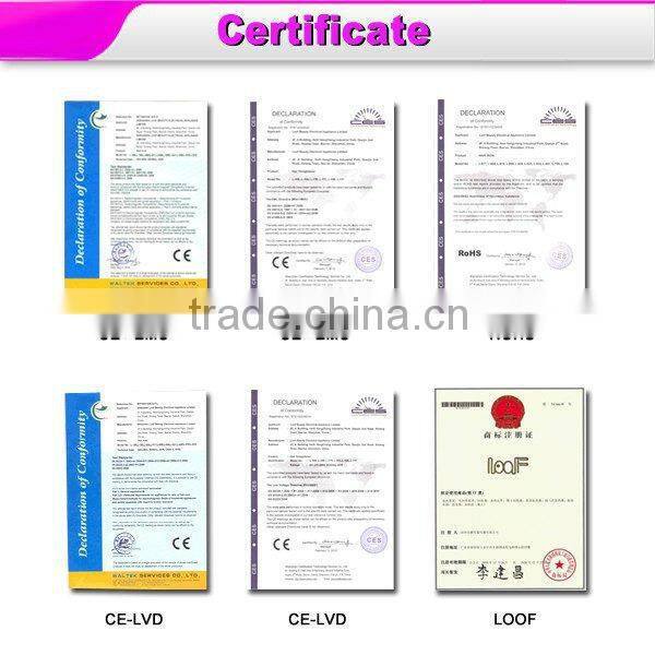 DODO L-186 ceramic hair straightener with good quality in cheap price