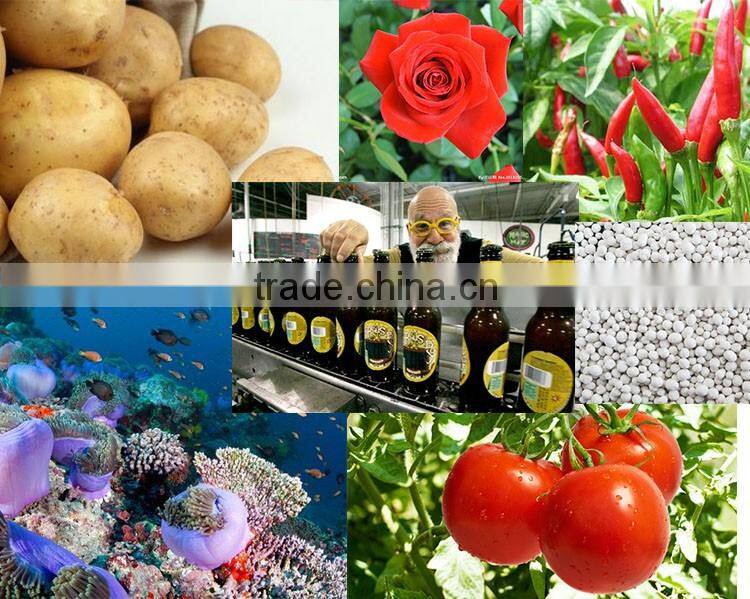 magnesium sulphate 99.5% agriculture grade magnesium sulphate monohydrate