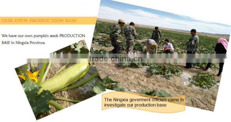 2015 New Crop Shine Skin Pumpkin Seeds price