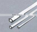 150x4.6mm Stainless Steel Cable Tie 201 steel