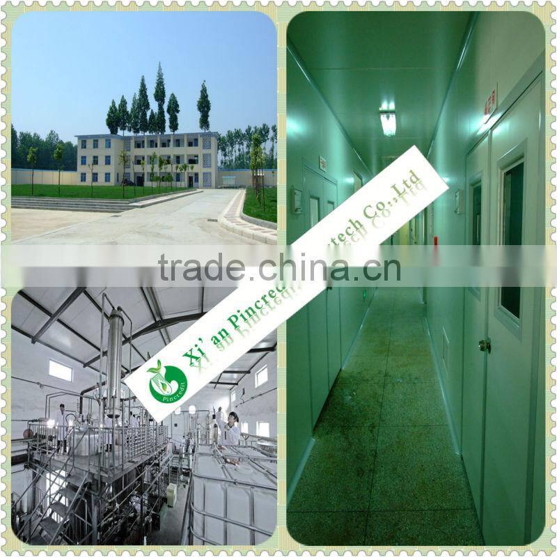 2014 Coenzyme Q10 Body Essence,Coenzyme Q10 Powder