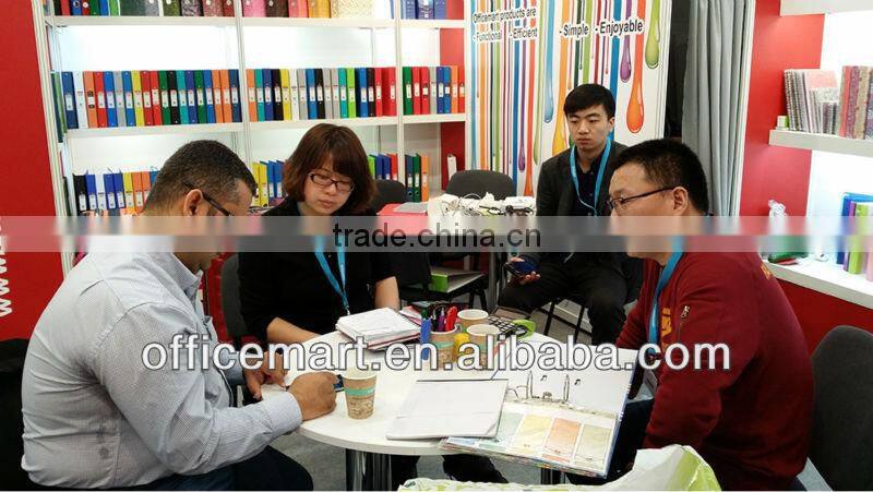 11 holes punched file divider