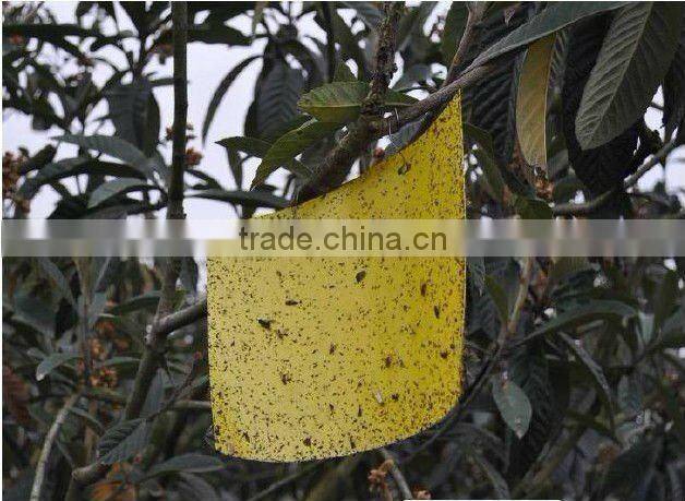 Hot Sale strong adhesive fly trap,yellow board insect killer,fly ribbon ,fly catcher