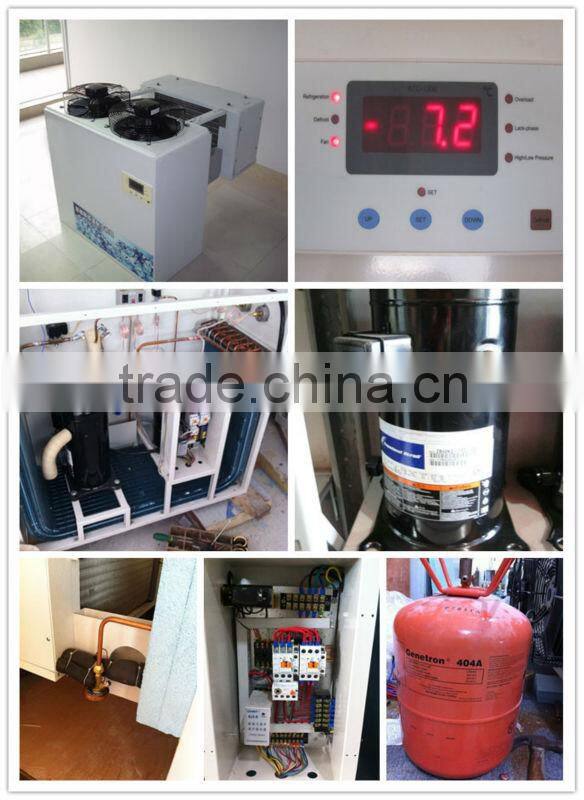 cold room storage room for meat/fish/vegetable can customize