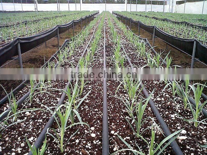 2016 new water saving drip irrigation system in greenhouse