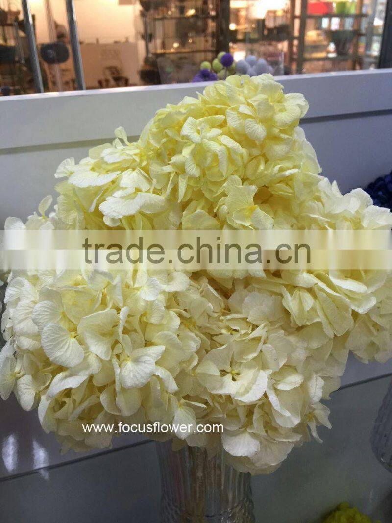 Flower Wedding Wholesale Preserved Flower Pink Hydrangea Macrophylla In Gift Box