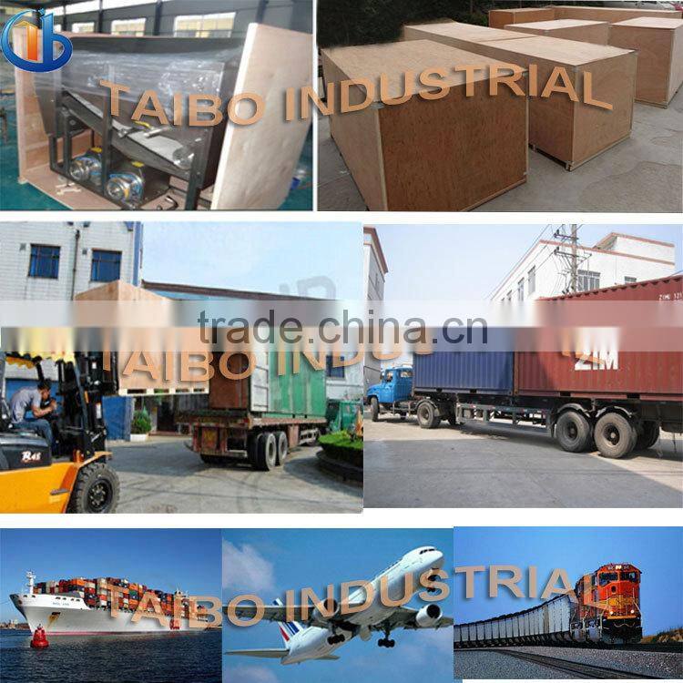 Factory Price: Professional industrial air bubble apple washing equippment