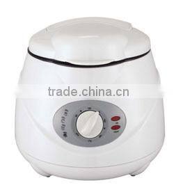 Electric deep fryer