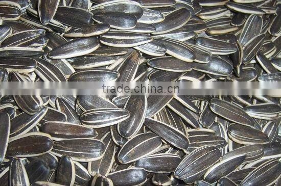 2015 chinese sunflower seed hot sale