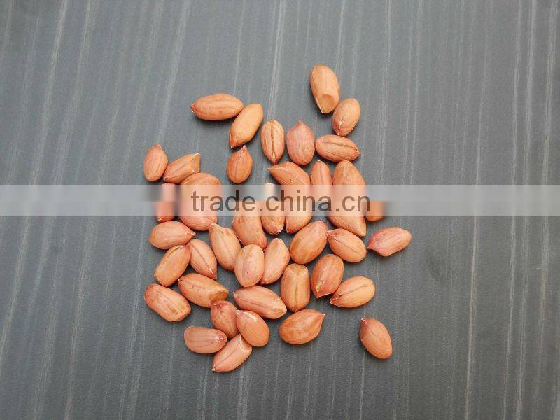 INDIAN QUALITY BOLD GROUNDNUT KERNEL 50/60