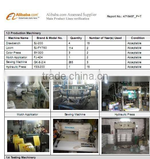 2015 popular plastic shopping bags