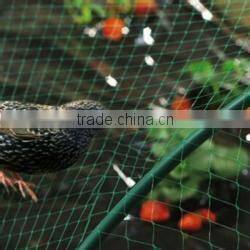 PP,PE,HDPE,NYLONE material for vegetable protection anti-bird net