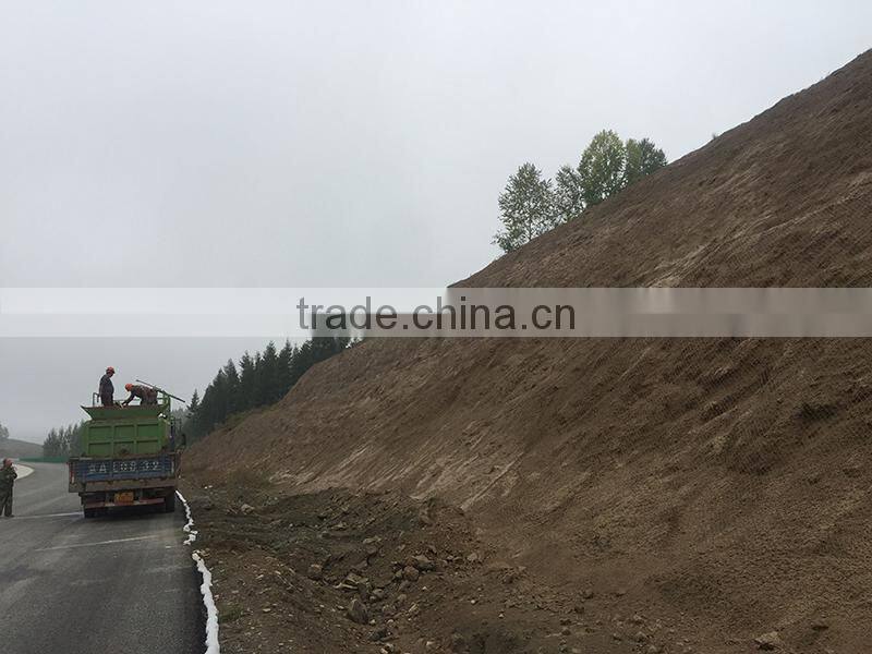 Wire rope mesh Sales Rockfall netting (factory)