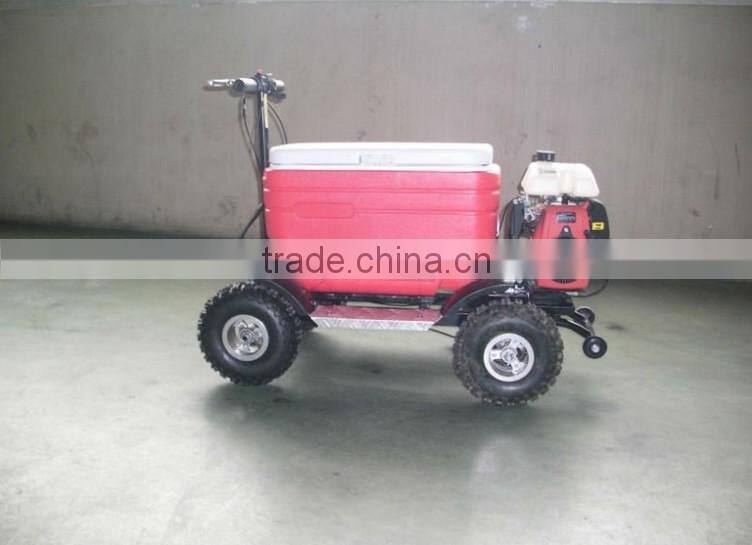 Hot sale 48L 43cc EPA gas Cooler Scooter/camping scooter (TKS-S43)