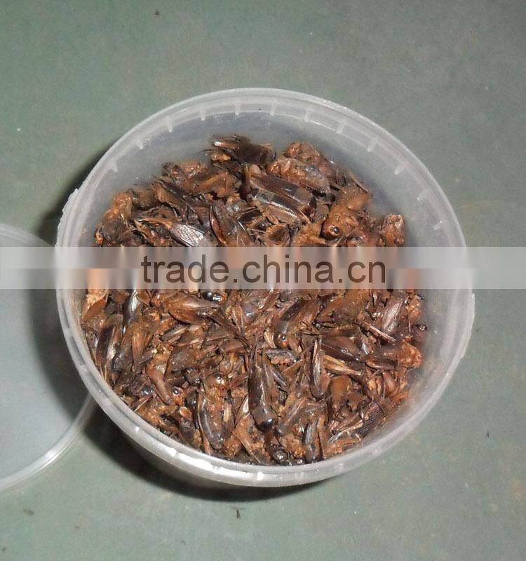 freeze dried dog food dried crickets, crickets poultry food