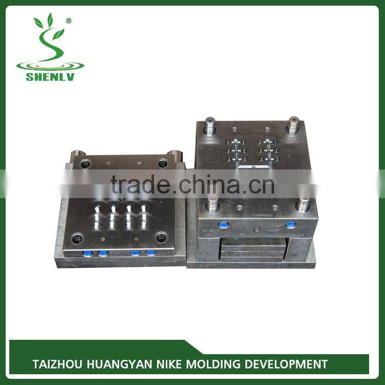 Top quality and good service experienced pen parts injection mould