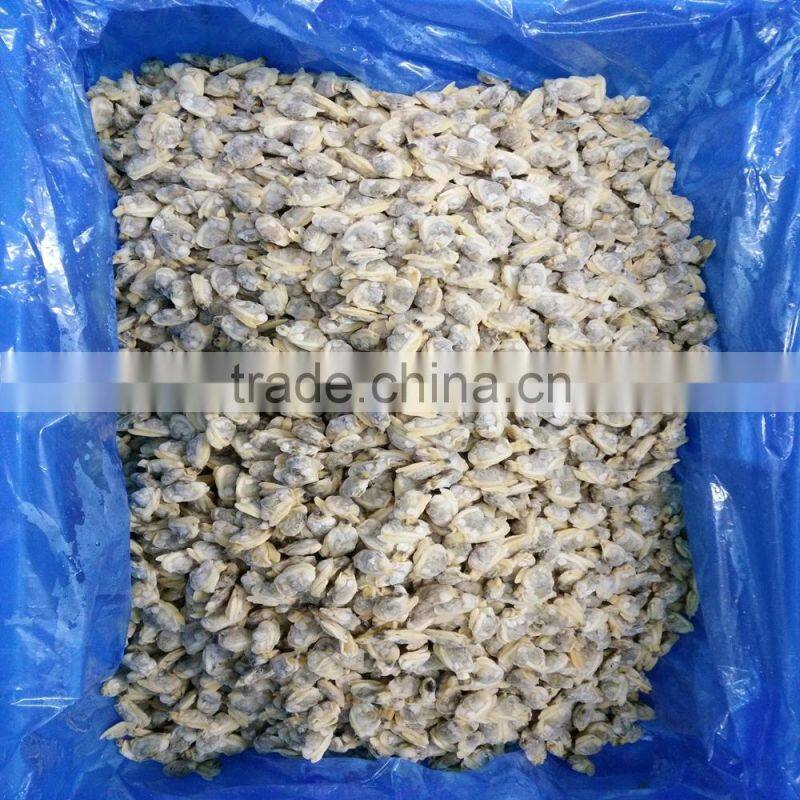 COOKED AND IQF FROZEN YELLOW CLAM MEAT