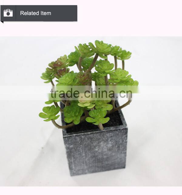 Cheap wholesale artificial succulent plants tropical plants