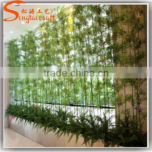 China supplier new product bamboo price plastic lucky bamboo plants for sale