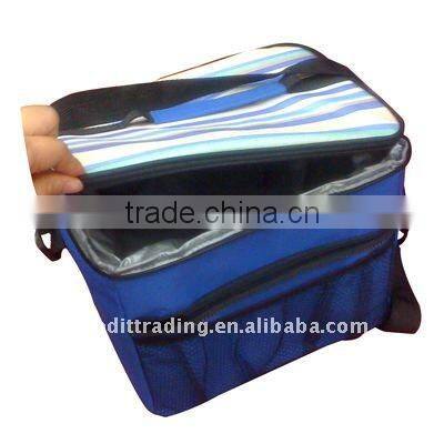 new design cooler bag for frozen food