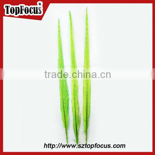 50-55cm assorted color dyed Pheasant tail feathers