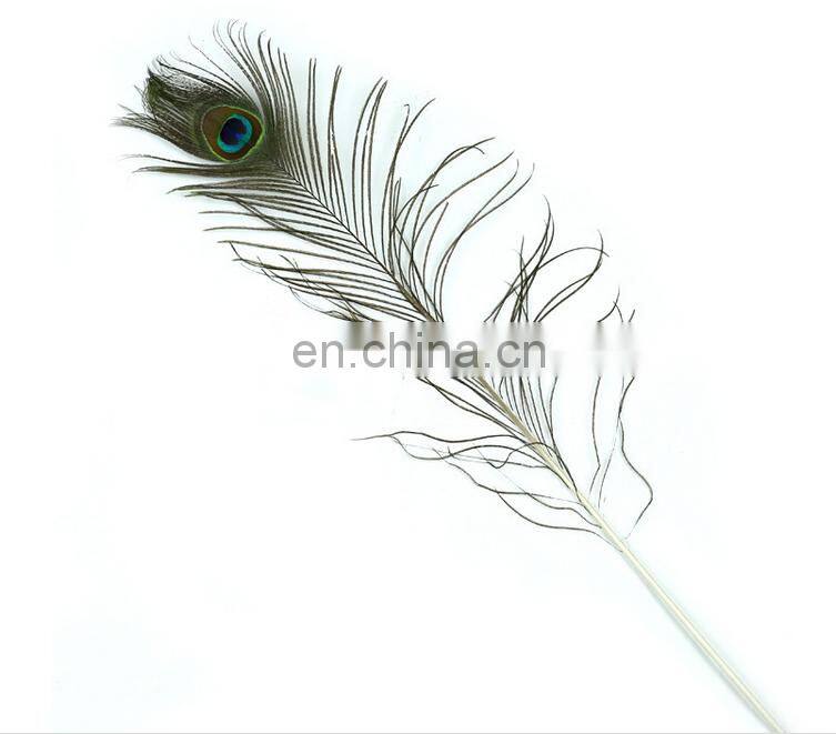 quality and quantity assured wholesale peacock feather trim