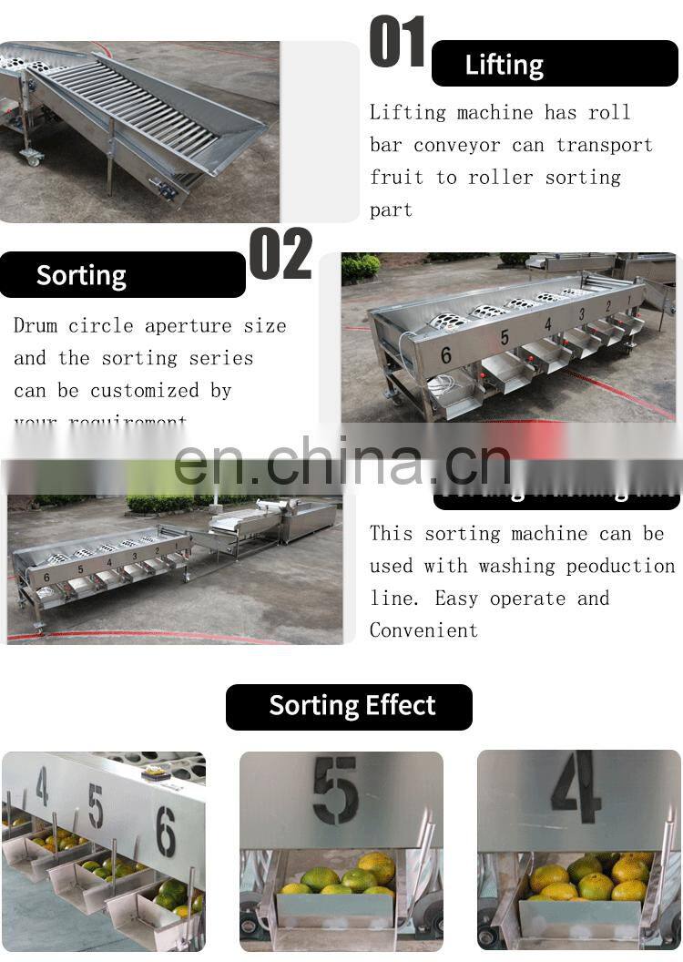 Widely used hawthorn dates longan fruits grading machine