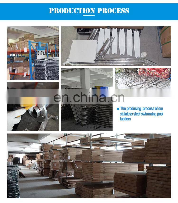 Chinese Supplier Hot Sales Aboveground Swimming Pool Ladder Stainless Steel 316