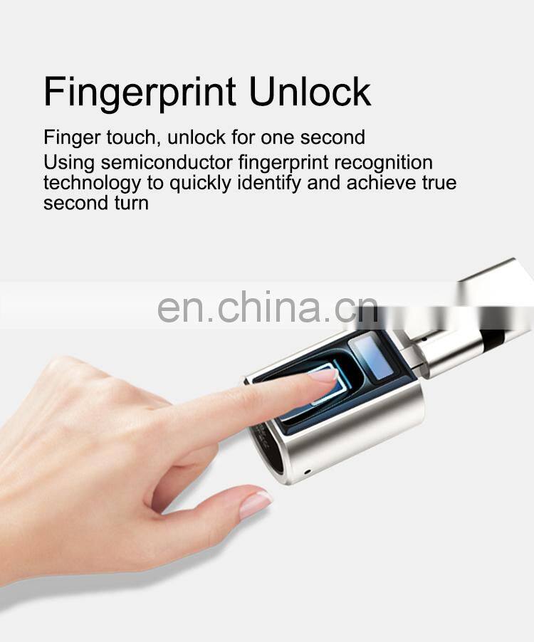 WE.LOCK new design smart security ttlock wifi control fingerprint door handle lock