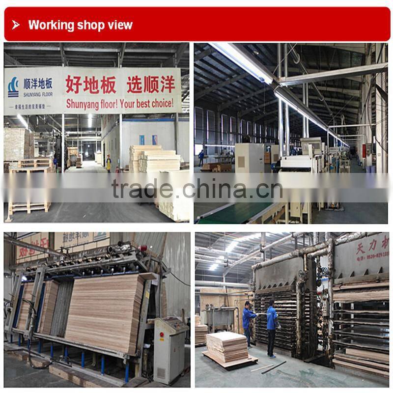 CNL Good QualityClassic Engineered French Oak Flooring