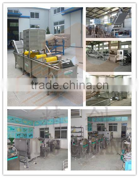 Meat Slicing Machine/Meat Slicer