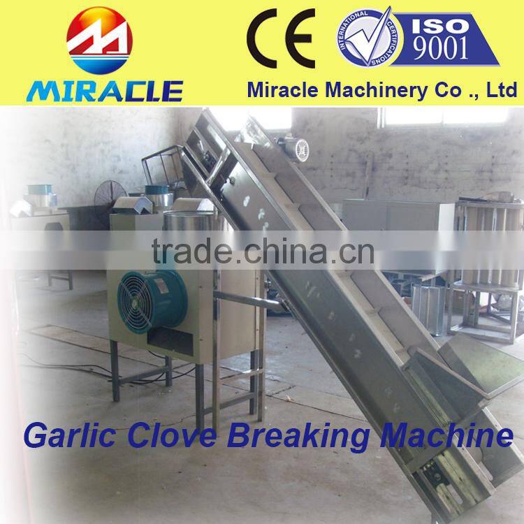 Garlic separator clove machines from fresh garlic processing line