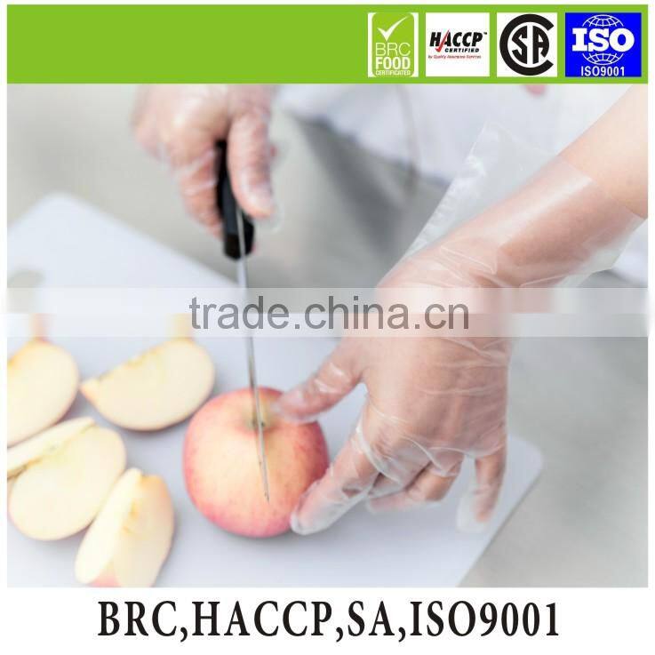 Good quality disposable plastic PE gloves